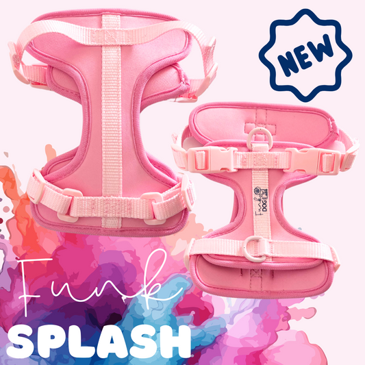 funkSPLASH - Harness