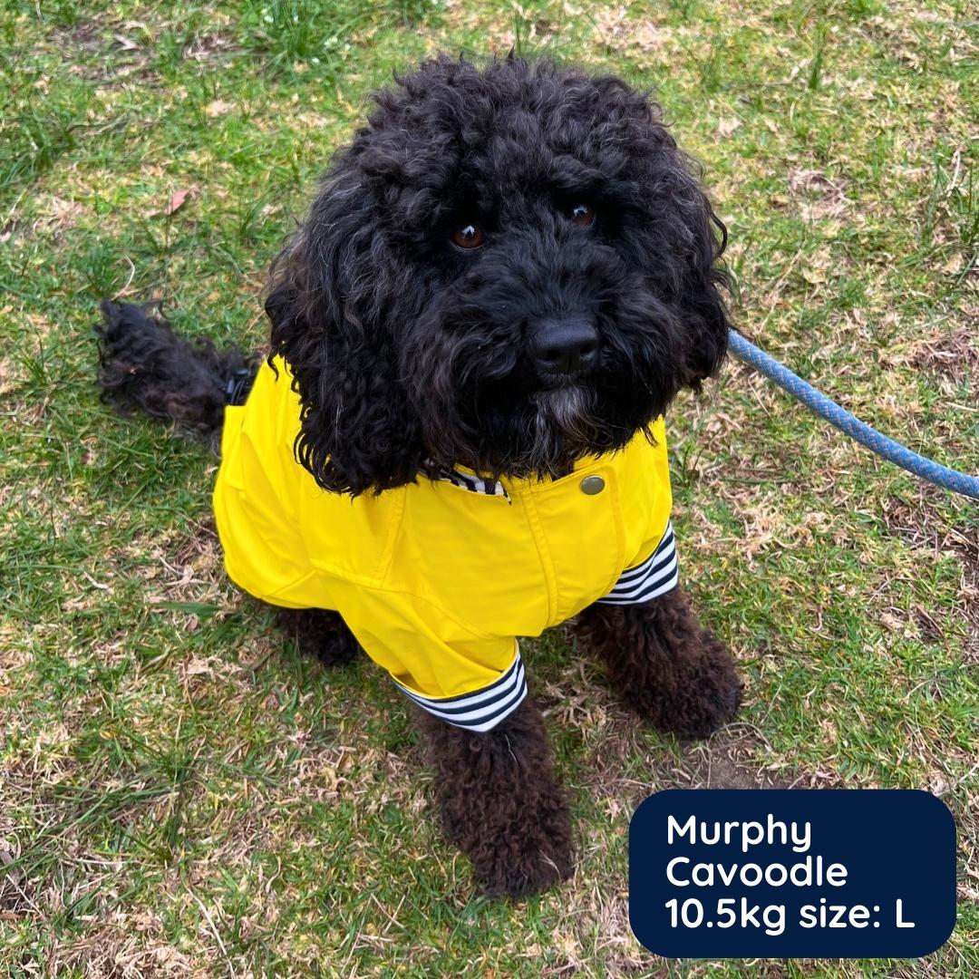 funkCOAT - Luxury Raincoat