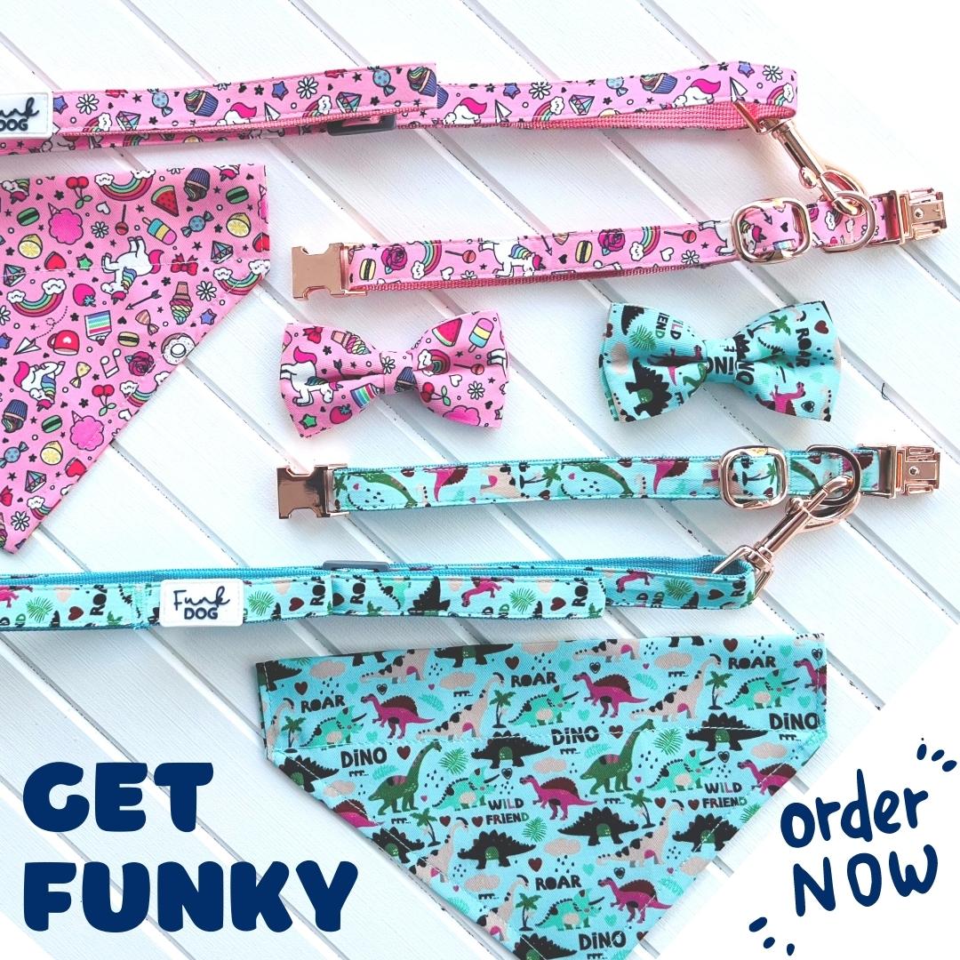 funkLEAD - Funky Collar & Lead Sets