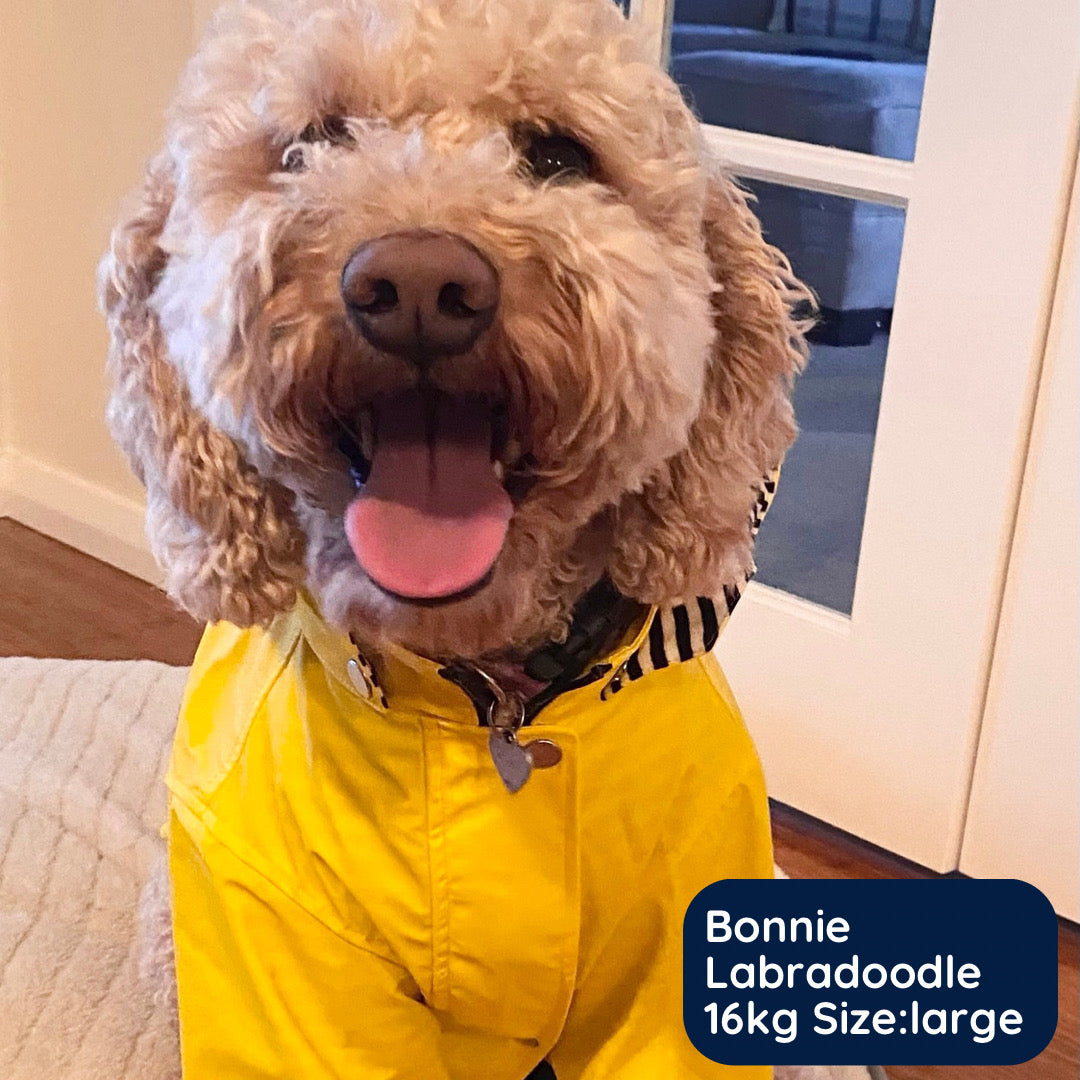 funkCOAT - Luxury Raincoat