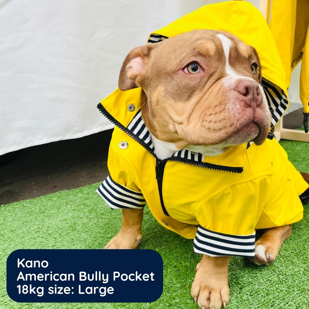 funkCOAT - Luxury Raincoat