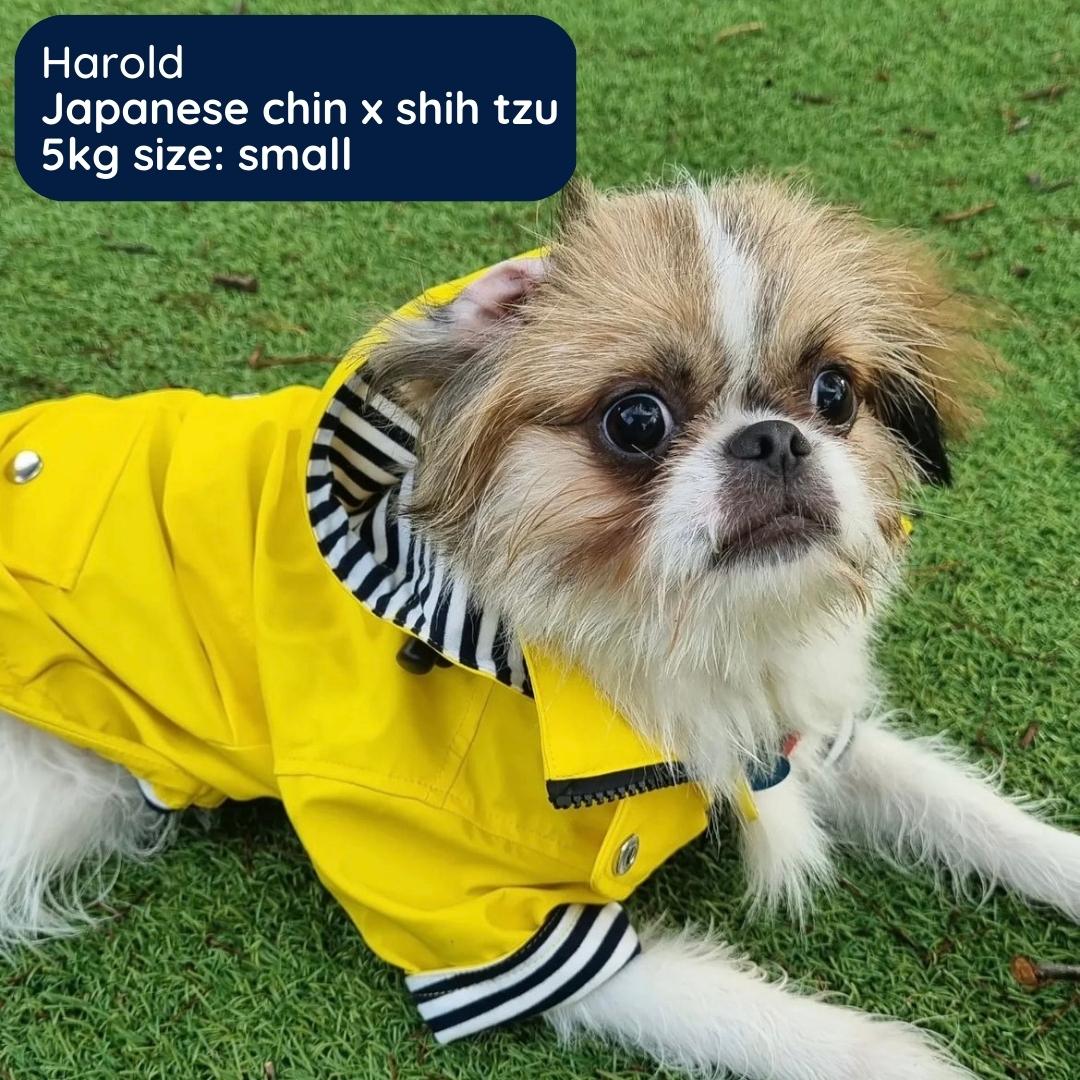 funkCOAT - Luxury Raincoat