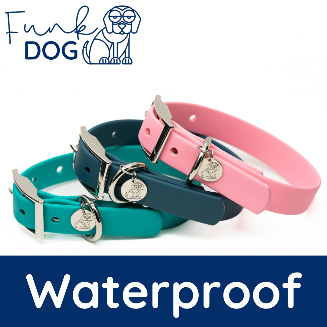 AQUAfunk - Waterproof Collar & Lead Set