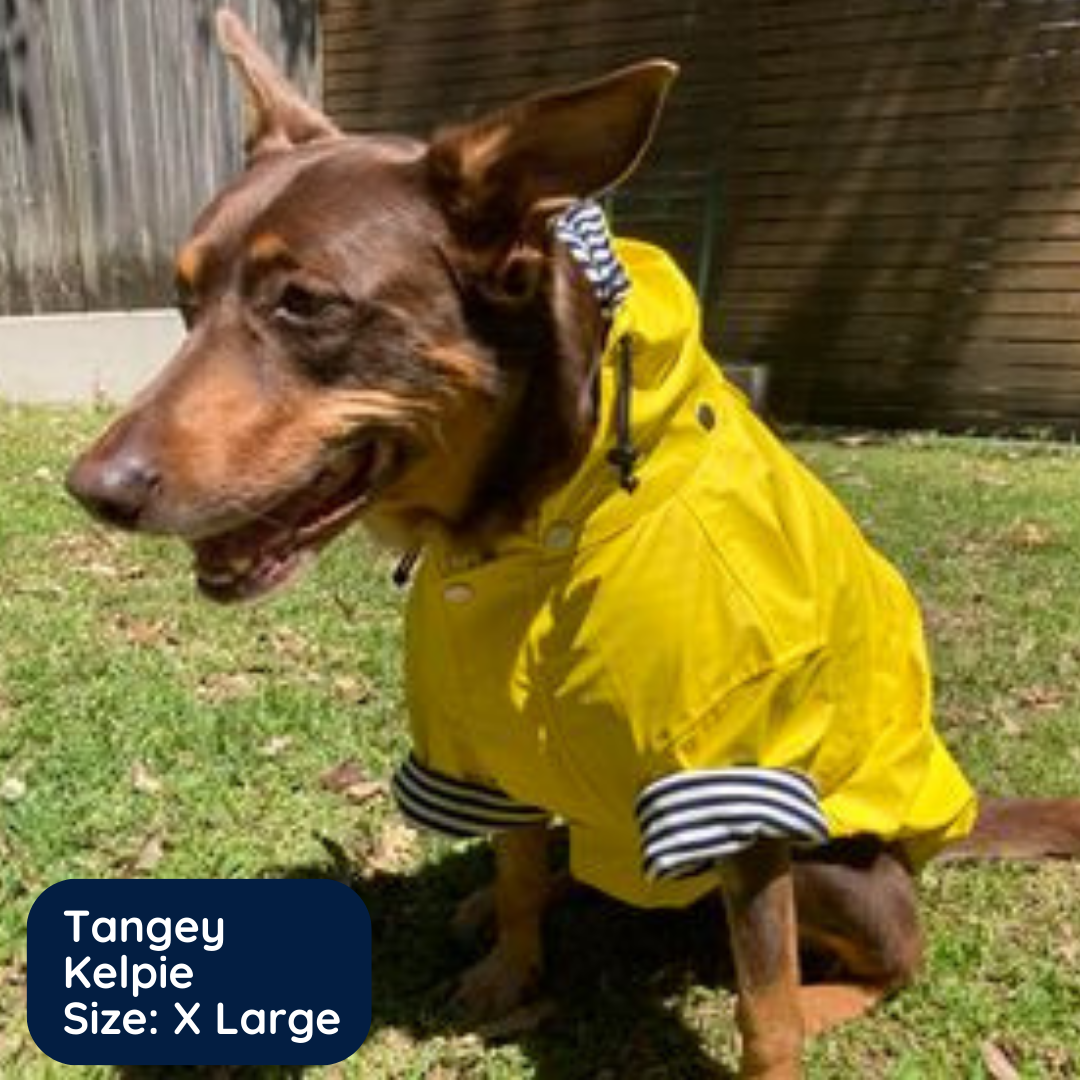 Extra 2025 large raincoats