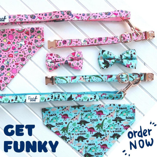 funkLEAD - Funky Collar & Lead Sets